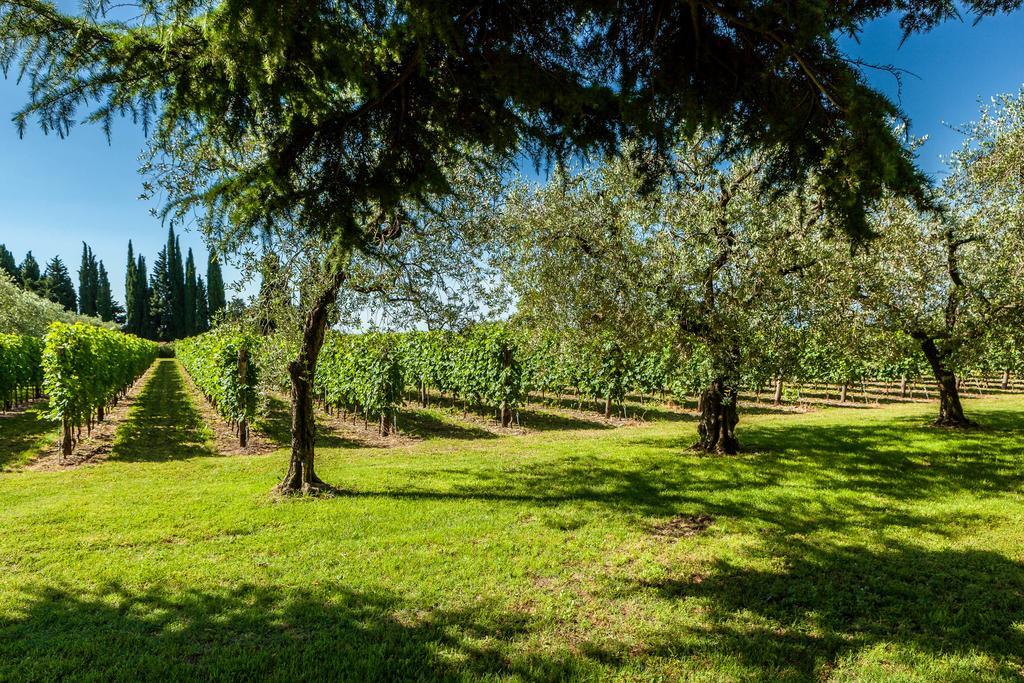 Quercia Belvedere Relais Bardolino Exteriör bild