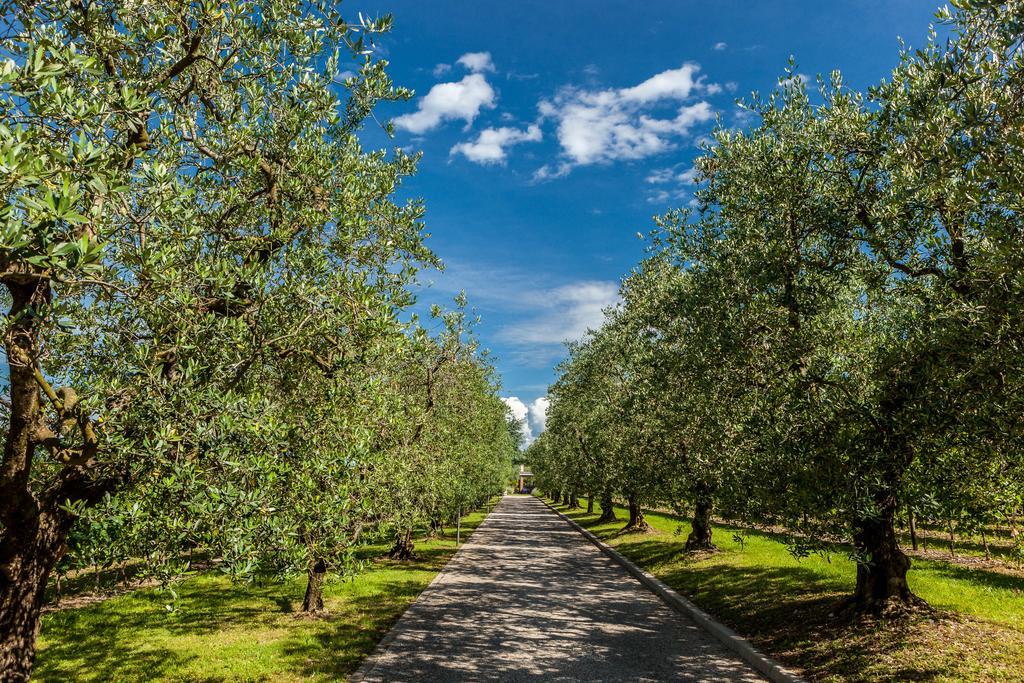 Quercia Belvedere Relais Bardolino Exteriör bild